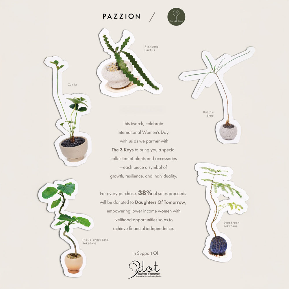 International Women's Day (2025)