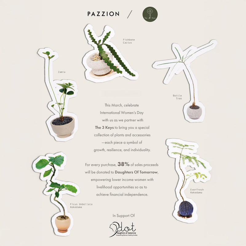 International Women's Day (2025)